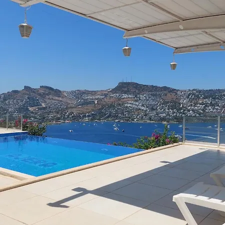 Magnificent View With Private Pool & Piano, 3 Bedroom Villa, Min 4 Nigths Villa Gündoğan