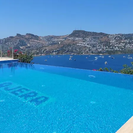 Magnificent View With Private Pool & Piano, 3 Bedroom Villa, Min 4 Nigths Villa Gündoğan