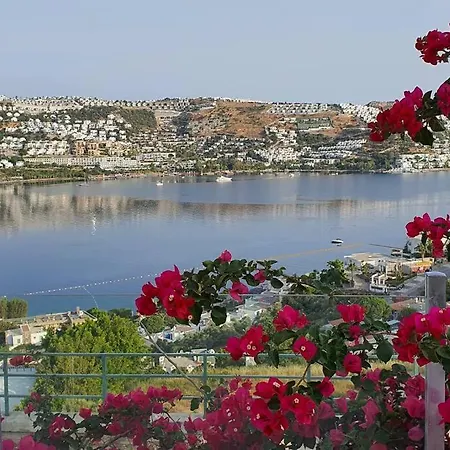 빌라 Magnificent View With Private Pool & Piano, 3 Bedroom Villa, Min 4 Nigths *